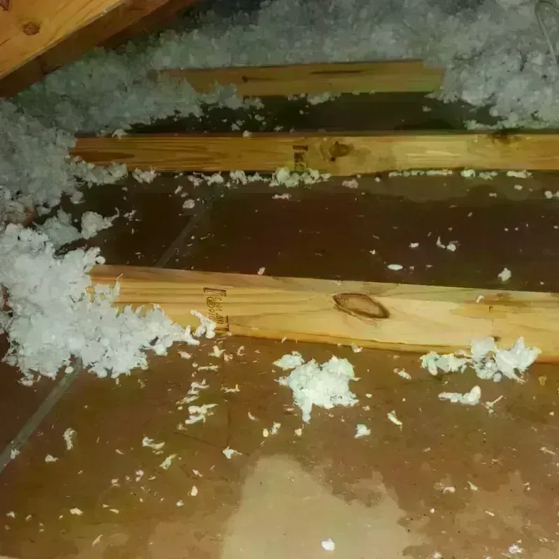 Attic Water Damage in Scott County, MN