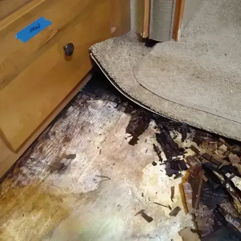 Wood Floor Water Damage in Scott County, MN